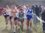 2006-01-29 Cross_regional_FFA