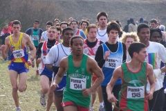 2006-01-29-Cross_regional_FFA_2