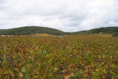 2006-10-21-Course_des_vignes_001