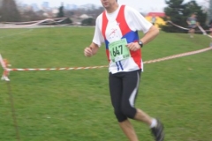 2008-01-28_Cross_Regional_Stains_014