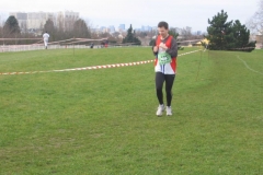 2008-01-28_Cross_Regional_Stains_025