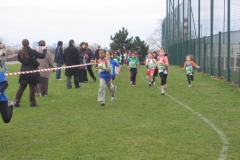 2008-01-28_Cross_Regional_Stains_026