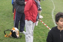 2008-01-28_Cross_Regional_Stains_029