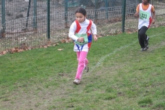2008-01-28_Cross_Regional_Stains_032