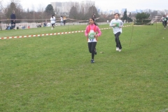 2008-01-28_Cross_Regional_Stains_040