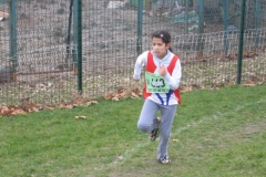 2008-01-28_Cross_Regional_Stains_042
