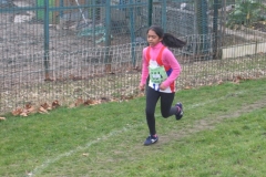2008-01-28_Cross_Regional_Stains_043