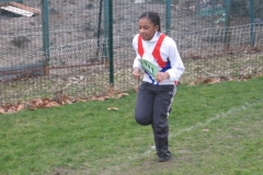 2008-01-28_Cross_Regional_Stains_044