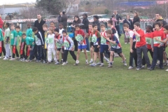 2008-01-28_Cross_Regional_Stains_048