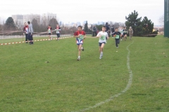 2008-01-28_Cross_Regional_Stains_050