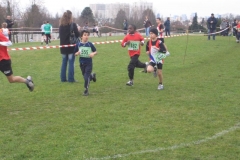 2008-01-28_Cross_Regional_Stains_052