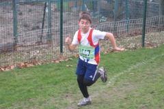 2008-01-28_Cross_Regional_Stains_060