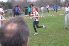 2008-01-28_Cross_Regional_Stains_067