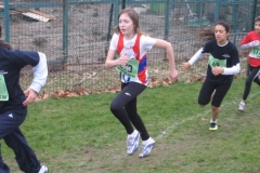 2008-01-28_Cross_Regional_Stains_070