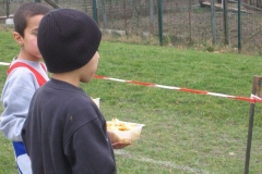 2008-01-28_Cross_Regional_Stains_082