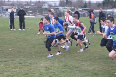 2008-01-28_Cross_Regional_Stains_088
