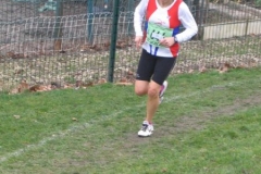 2008-01-28_Cross_Regional_Stains_100