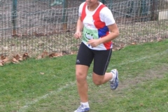 2008-01-28_Cross_Regional_Stains_101