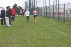 2008-01-28_Cross_Regional_Stains_103