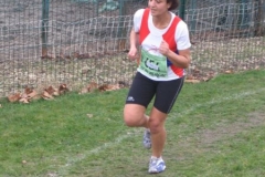 2008-01-28_Cross_Regional_Stains_106