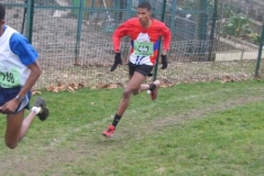 2008-01-28_Cross_Regional_Stains_118
