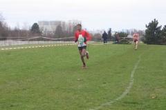 2008-01-28_Cross_Regional_Stains_121