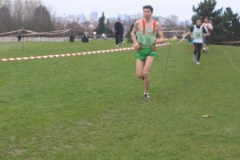 2008-01-28_Cross_Regional_Stains_123