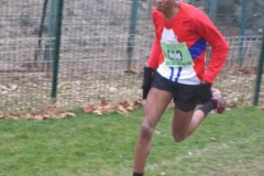 2008-01-28_Cross_Regional_Stains_125