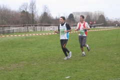 2008-01-28_Cross_Regional_Stains_128