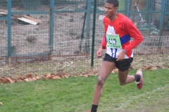 2008-01-28_Cross_Regional_Stains_129