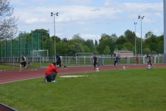 61