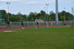 81