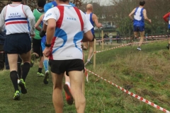 16003265_1849502895326302_1261171485782971515_n