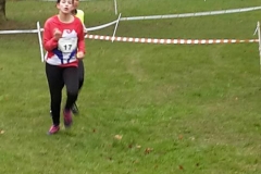 28468384_1870578203234297_3783511635825452905_n