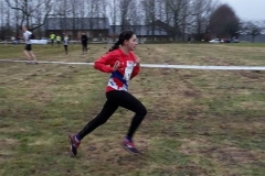 28468541_1870578043234313_5332966153157845725_n