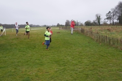 28471443_10155474674383786_6678408321164115968_n