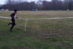 28471551_1870577876567663_6410735320066530447_n