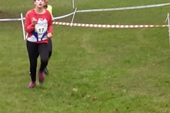 28471958_1870723959886388_6990186325619433055_n