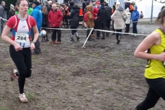 28471984_1870723779886406_8118194514325489686_n