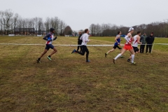 28515298_1870922359866548_8186918775229389609_o