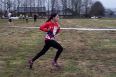 28575662_1870723926553058_4106028225210422034_n