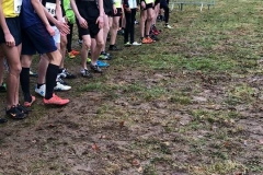 28575729_1870577736567677_9163636052208967831_n