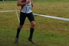 28575934_1870613253230792_6774056654080453545_n