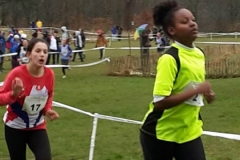 28575967_1870578226567628_3846220978416218969_n