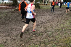 28576034_1870612269897557_7958036495525842226_n