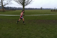 28576311_1870678526557598_8904214830526534437_n