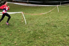 28576374_1870577383234379_4394545594075845852_n