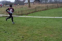 28576509_1870577936567657_3733798539396153203_n