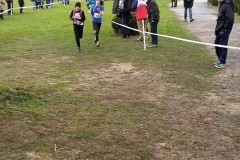 28576614_1870578256567625_3919161504023055556_n