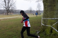 28576862_1870723423219775_8909237852234672329_n